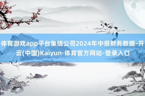 体育游戏app平台集结公司2024年中报财务数据-开云(中国)Kaiyun·体育官方网站-登录入口