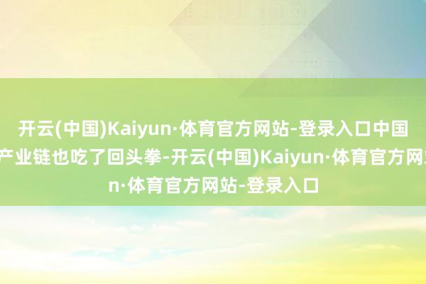 开云(中国)Kaiyun·体育官方网站-登录入口中国新动力汽车产业链也吃了回头拳-开云(中国)Kaiyun·体育官方网站-登录入口