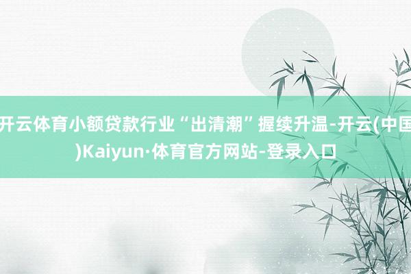 开云体育小额贷款行业“出清潮”握续升温-开云(中国)Kaiyun·体育官方网站-登录入口